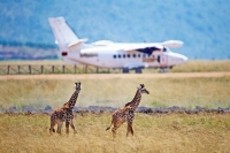 kenya tour packages from india