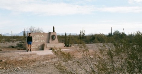 Take a Hike by Cold Splinters: The Organ Pipe Catus | The FADER