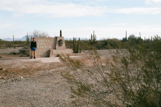 Take a Hike by Cold Splinters: The Organ Pipe Catus | The FADER