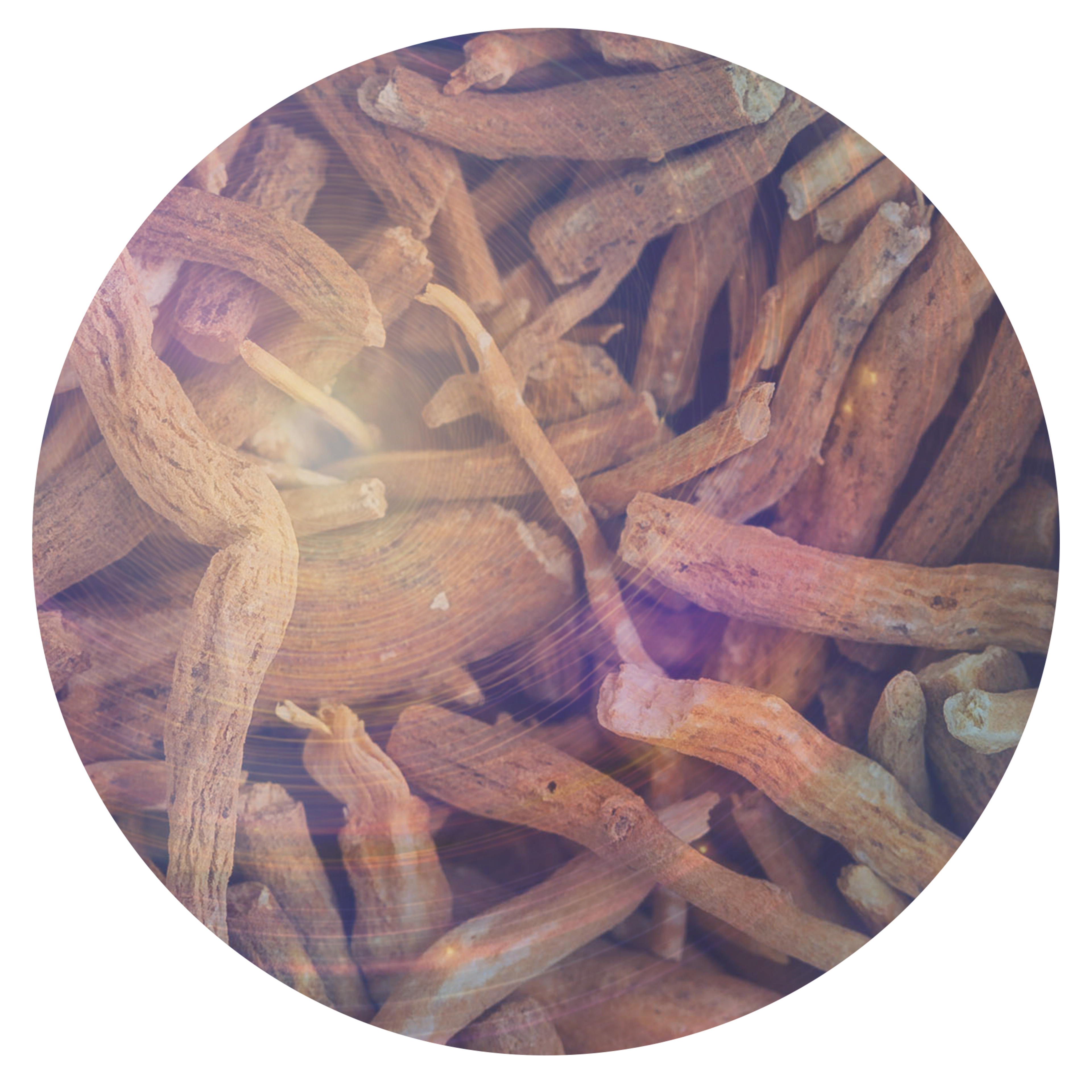 DreamShot Ingredients ashwag