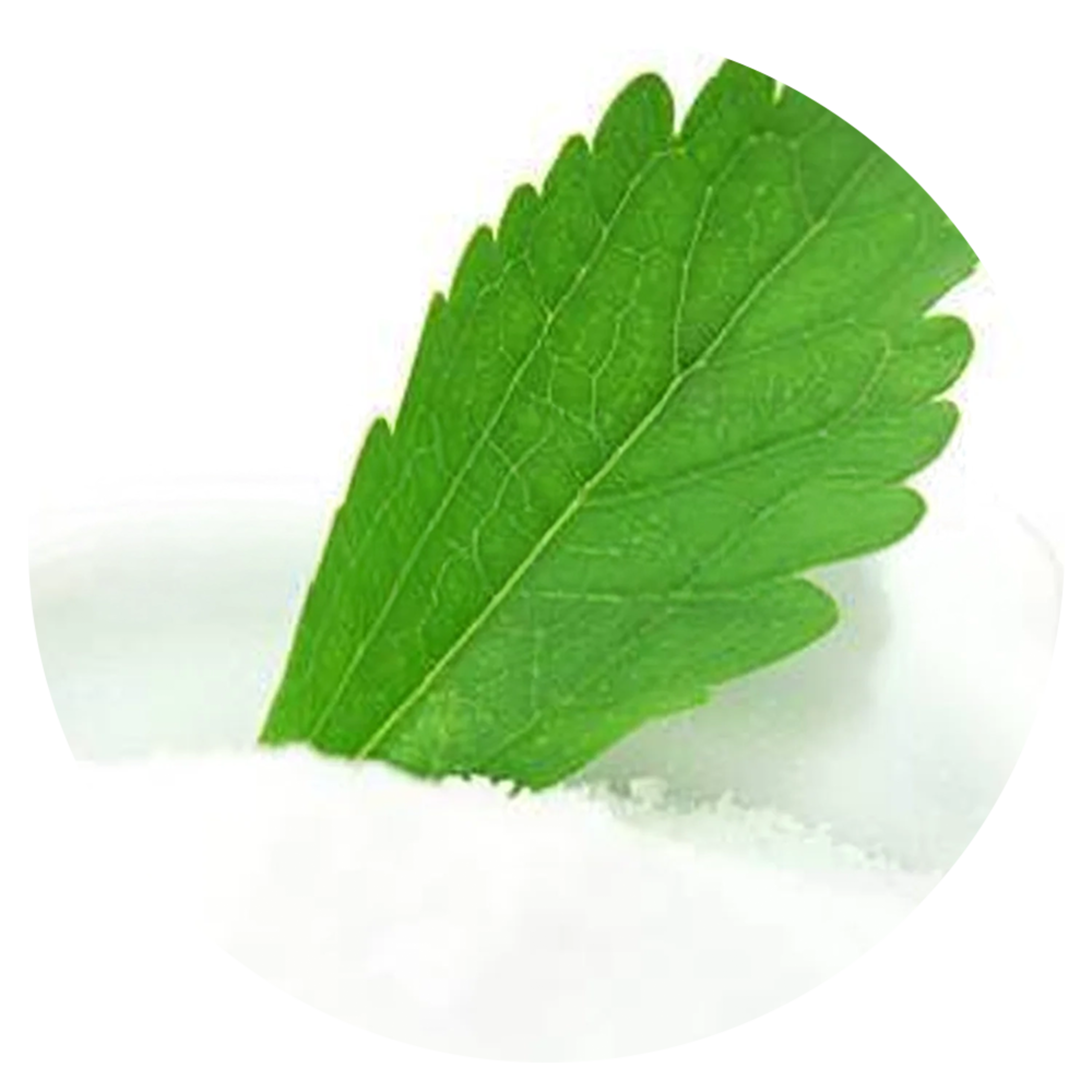 korrect edge glyvia