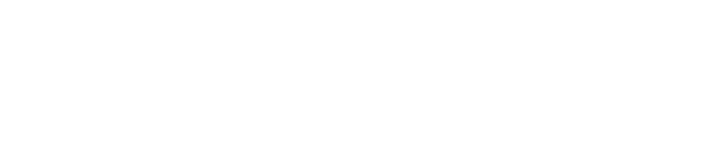 strava-logo white