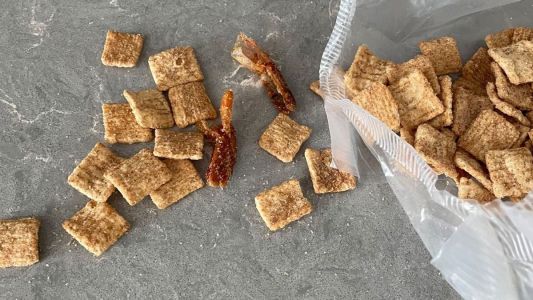 Tfl blog apr2021 cinnamon toast crunch shrimp hvylxx