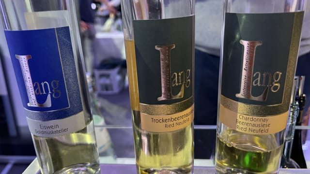 degustazione vini austriaci del Burgenland - i Beerenauslese e Trockenbeerenaulese