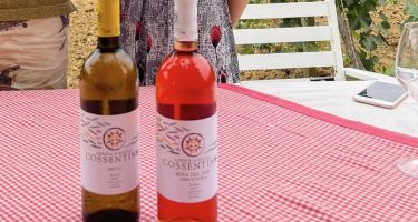 Quando il tempo premia uomini ambiziosi e i loro vini: cantina Cossentino a Partinico