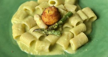 Mezzi paccheri rigati con crema di asparagi bianchi e verdi, pecorino e tuorlo d'uovo fritto