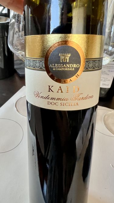 La bella gioventù della Sicilia vitivinicola - Alessandro di Camporeale - Kaid Syrah Vendemmia Tardiva 2021