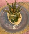Accursio Ristorante a Modica - giochi di magia a tavola