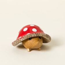 mushroom garden hedgie
