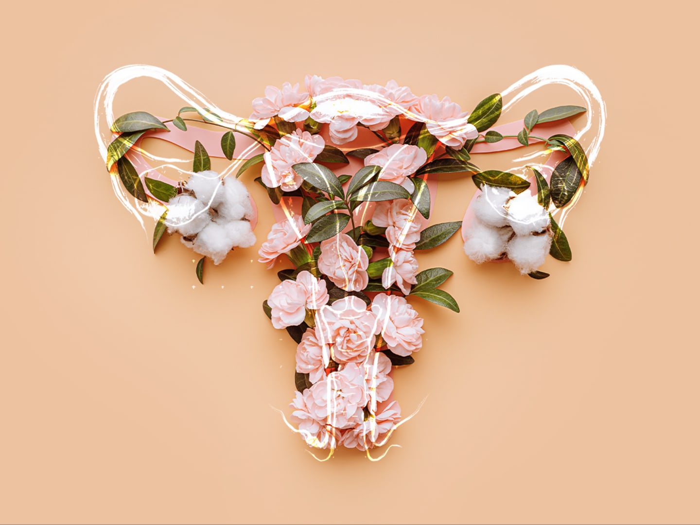 The True Cost of Freezing Your Eggs