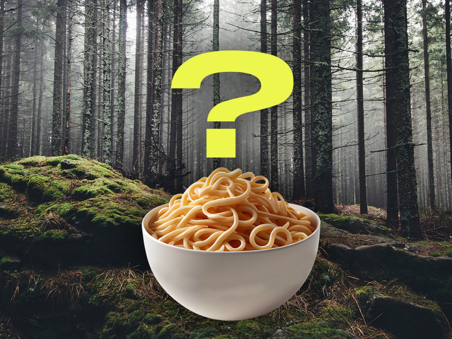 Is Forest Pasta the Next Banksy or Just an Accident?