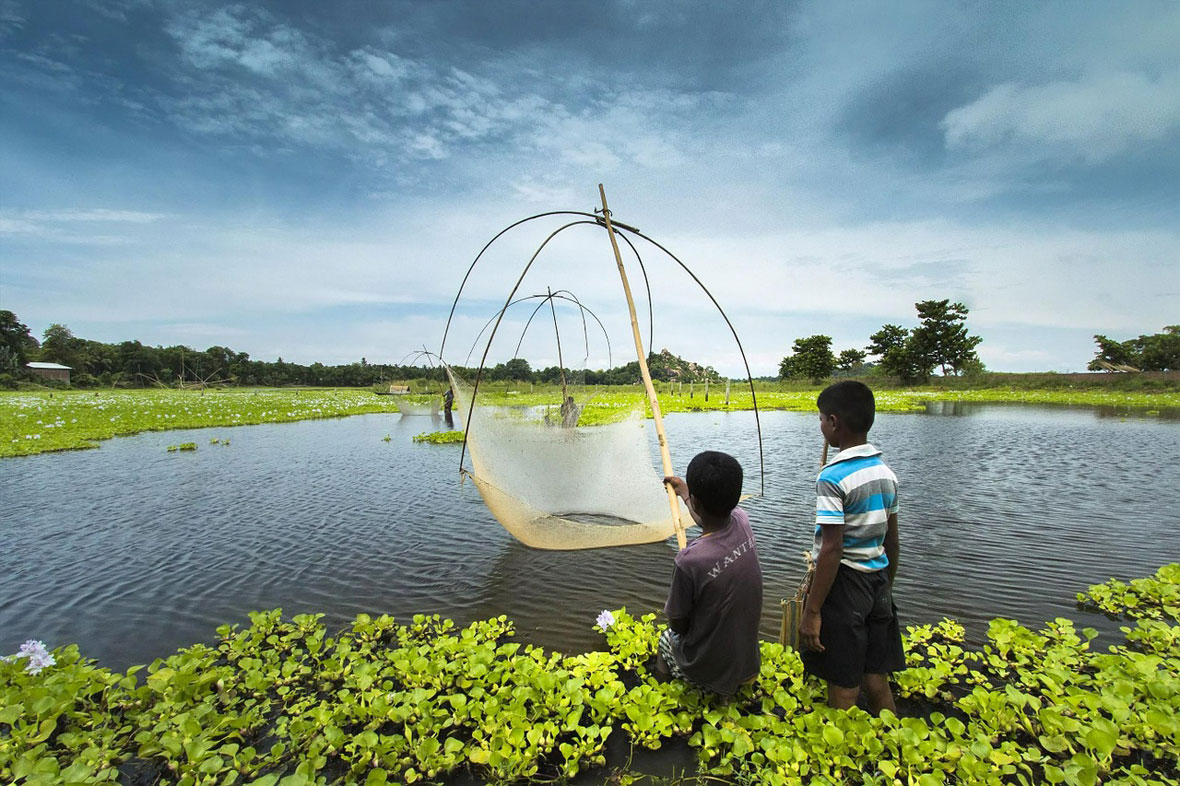 fishing assam