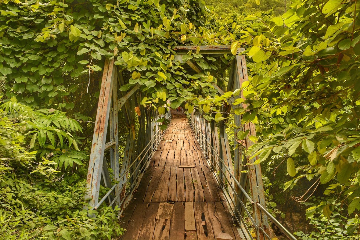 Forest naarsimhaswamy templeAndhra Pradesh