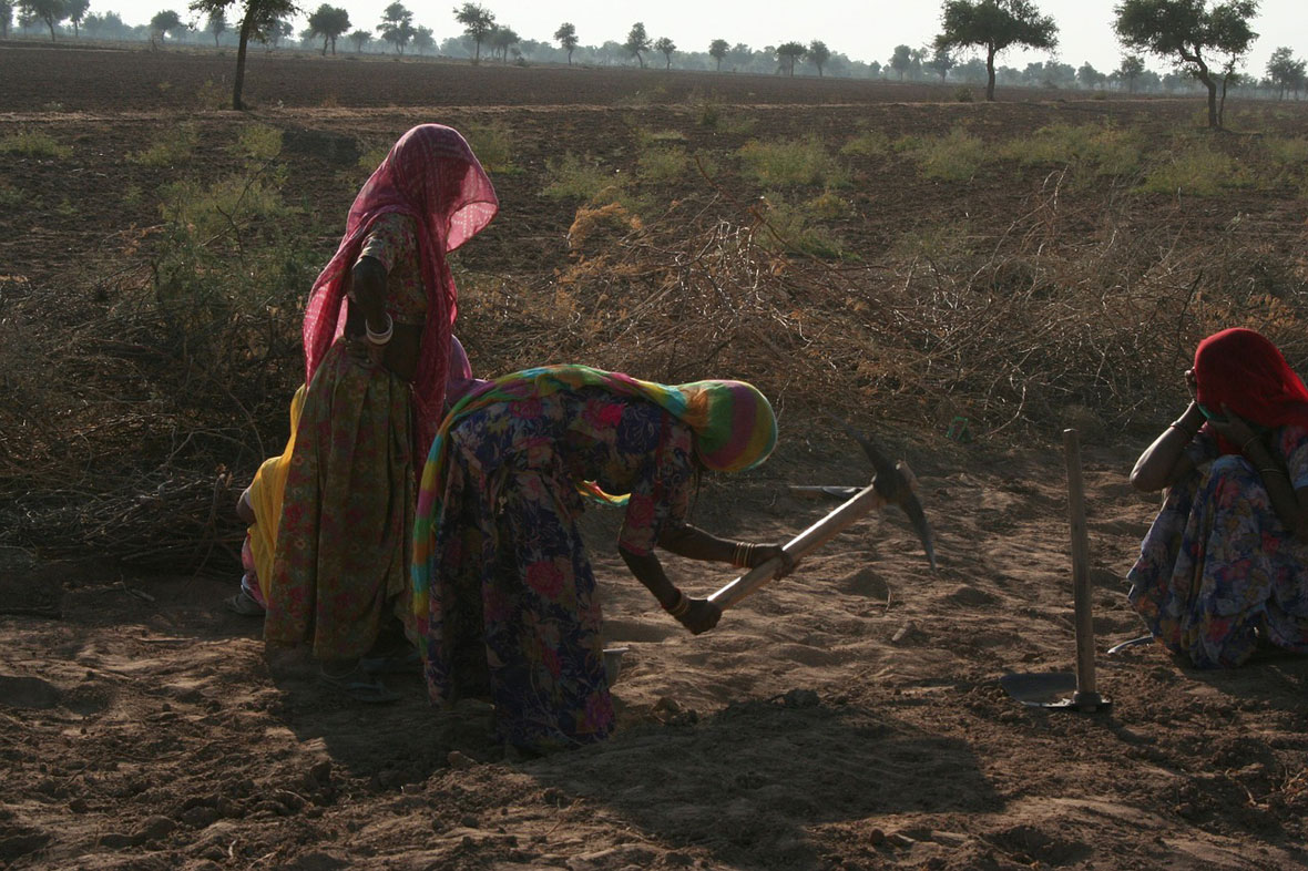 Rajasthan work in Woman