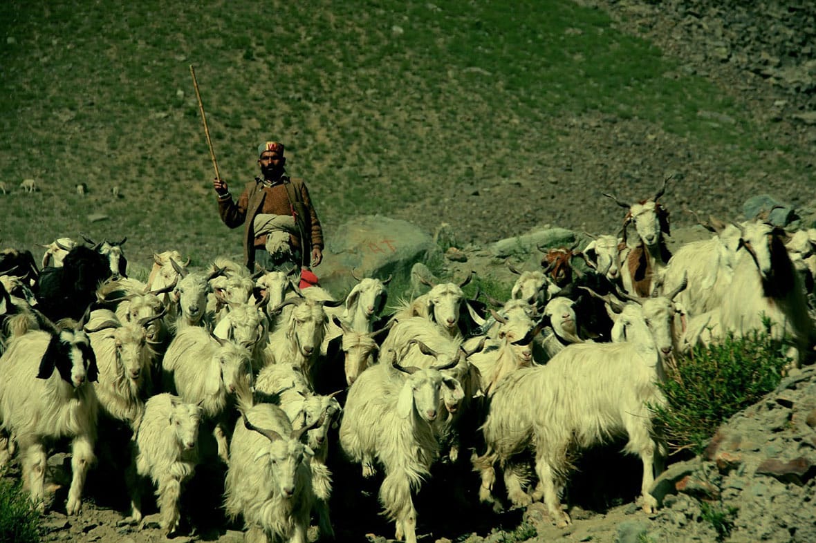Ladakh And Jammu