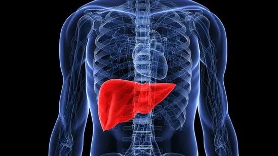 Fatty Liver