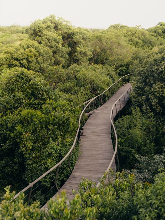 Elevated wooden walkways through Ishara