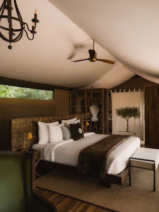 Tented safari rooms