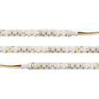 SLC LED STRIP TW CV 120 5M 10MM 14,4W 1000LM 2400-6500 CRI80 IP54