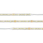 SLC LED STRIP TW 196 5M 10MM 14,4W 1683LM 2200-6500K CRI80 IP20 