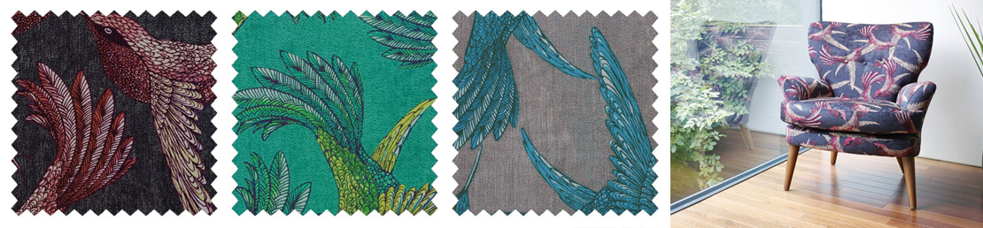 Paradise Bird
