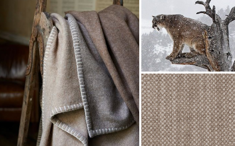 Mountain Lion Fabric