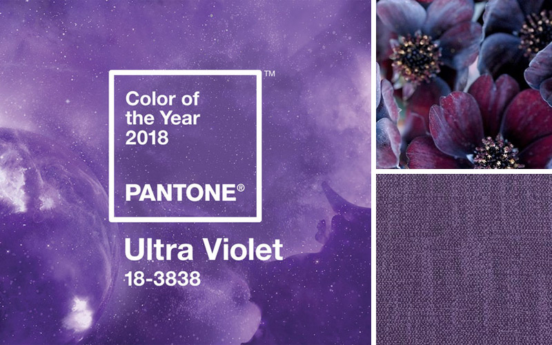 The Power of Purple