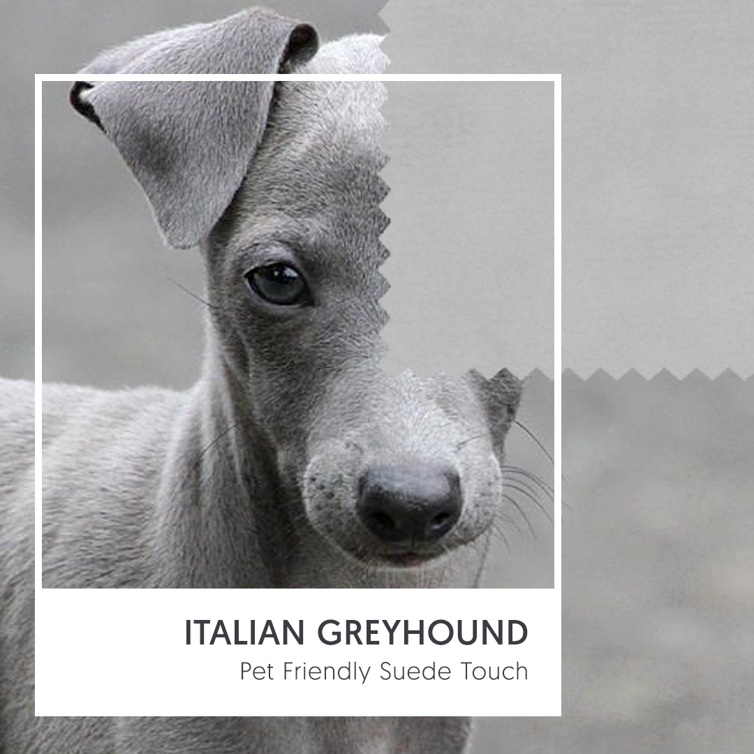 Pet Friendly Fabrics