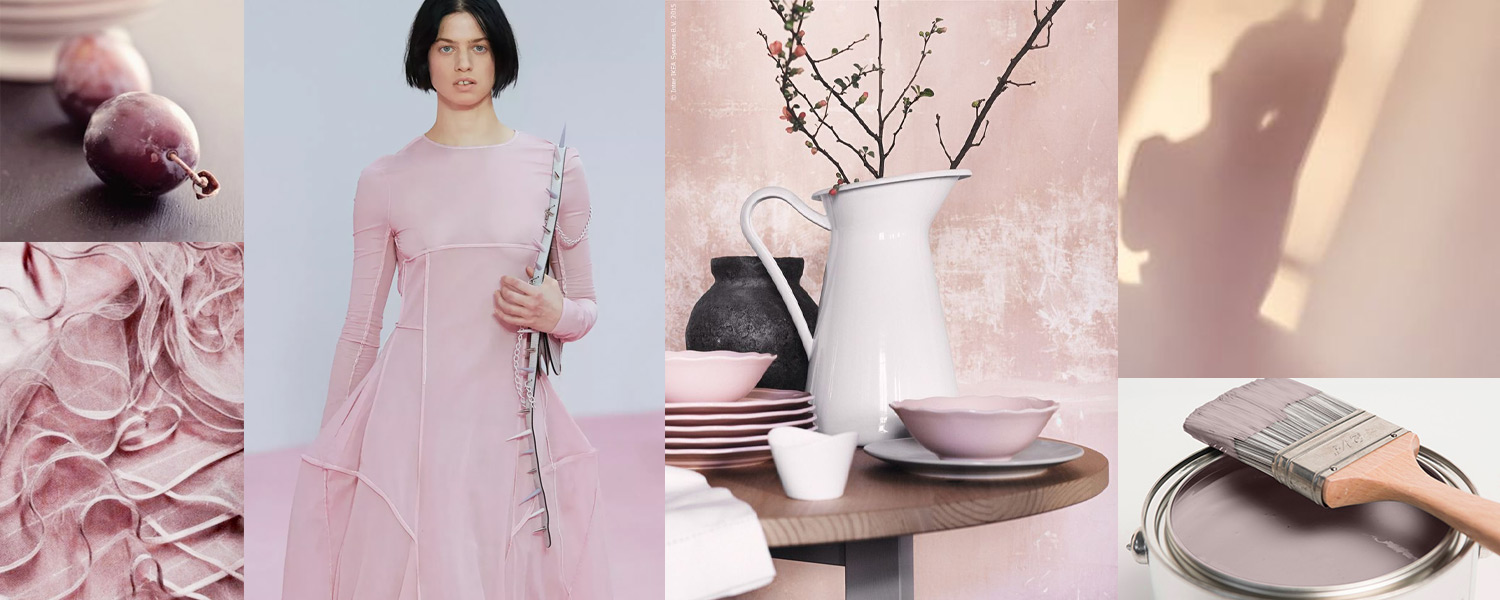 NEW Dulux Colour of the Year 2024 - Sweet Embrace - Dusky pink interior trend
