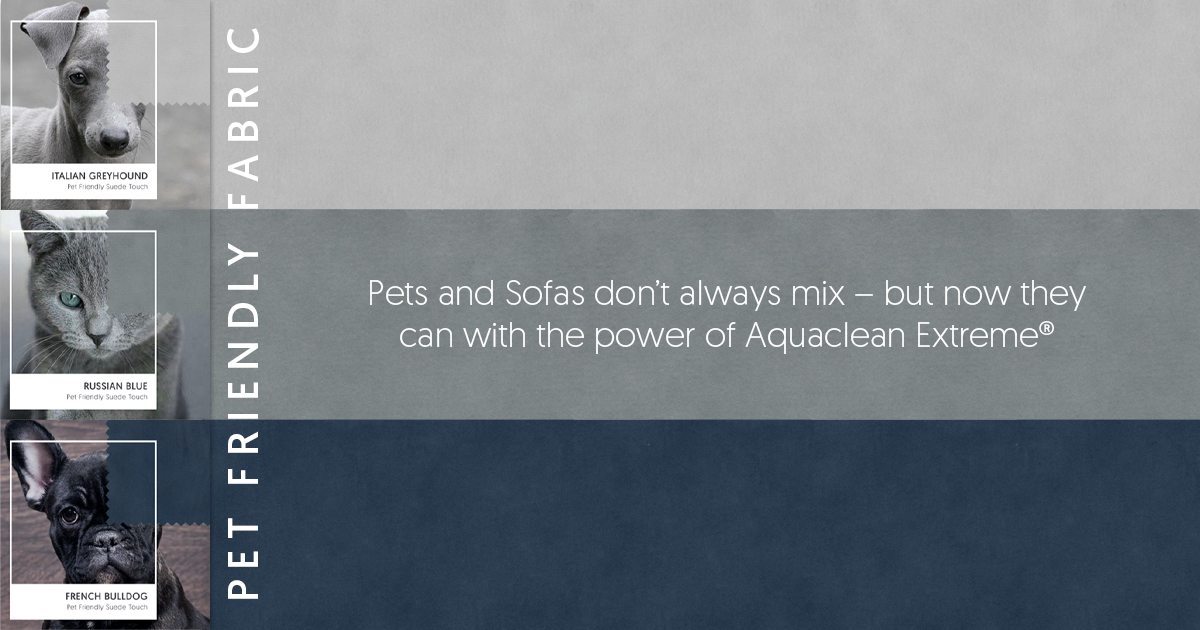 Discover our Pet Friendly Fabrics