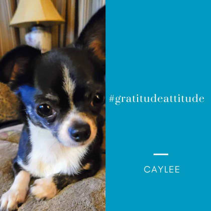 Caylee-#grattitudeattitude_11zon Caylee #gratitudeattitude