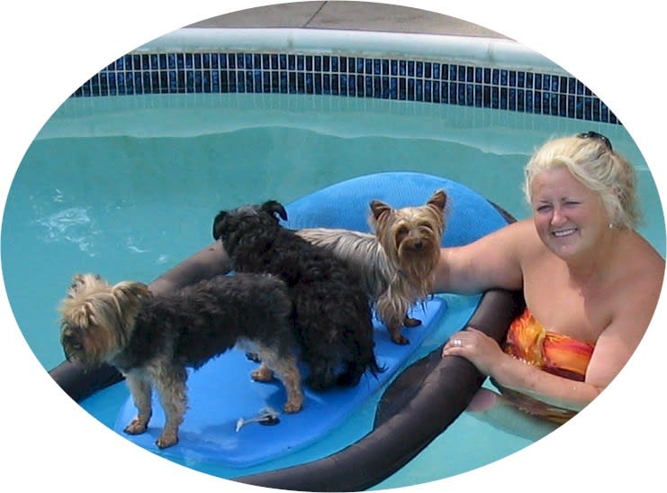 in the pool with the dogs in the pool with the dogs