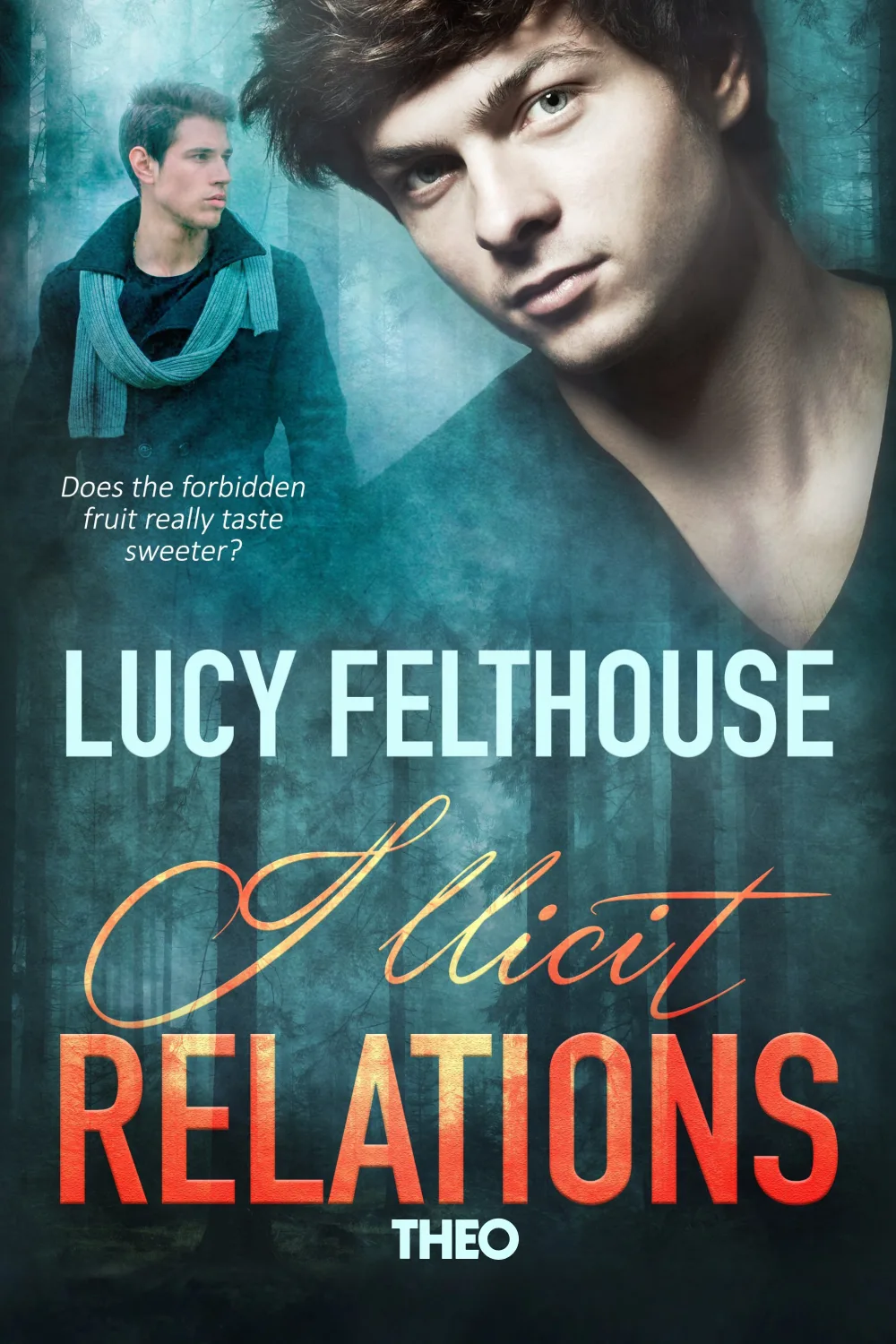 Illicit Relations cover by Lucy Felthouse