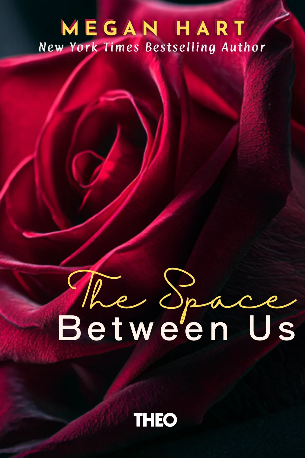 The Space Between Us cover by Megan Hart