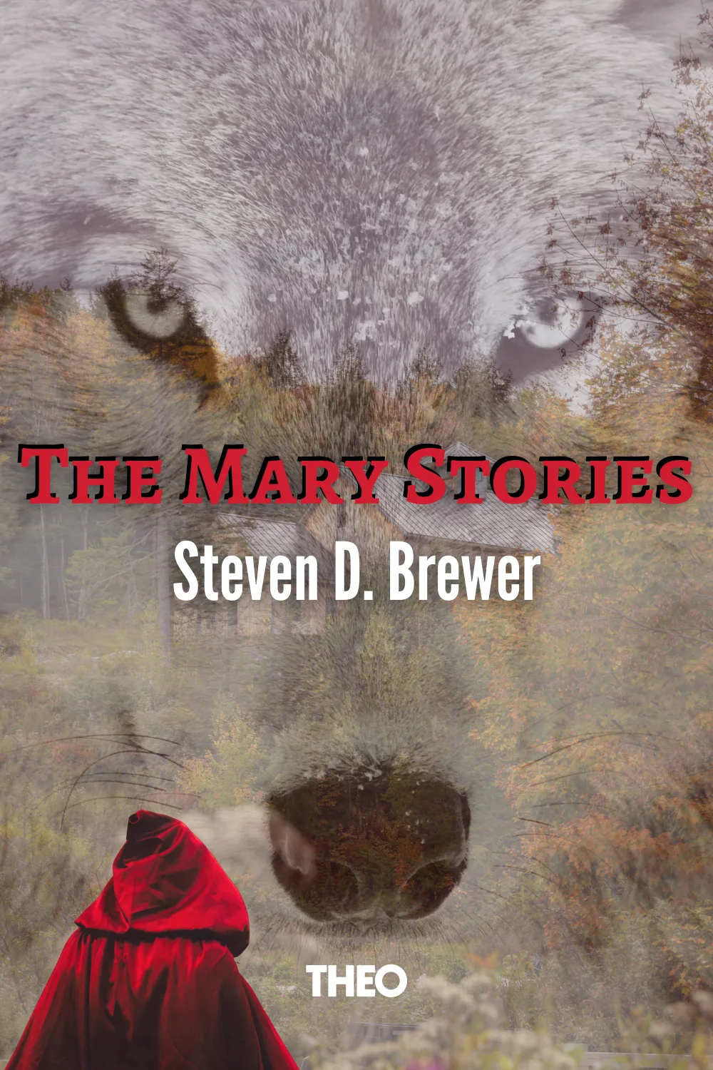 The Mary Stories cover by Steven D. Brewer