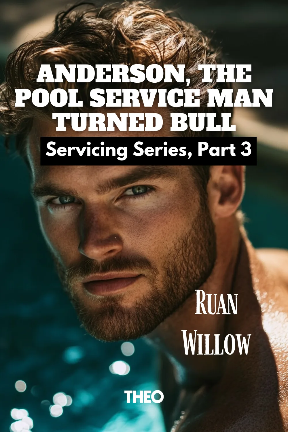 Anderson, The Pool Service Man Turned Bull, 3 cover by Ruan Willow