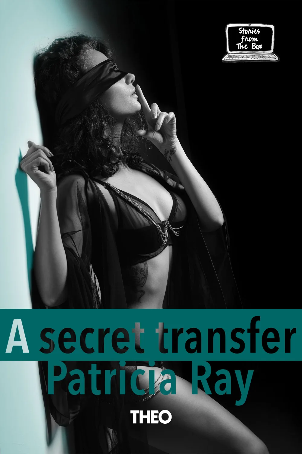 A Secret Transfer cover by Patricia Ray