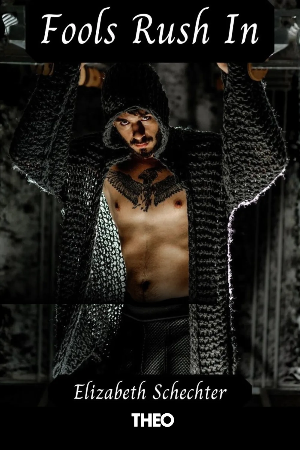 Fools Rush In cover by Elizabeth Schechter