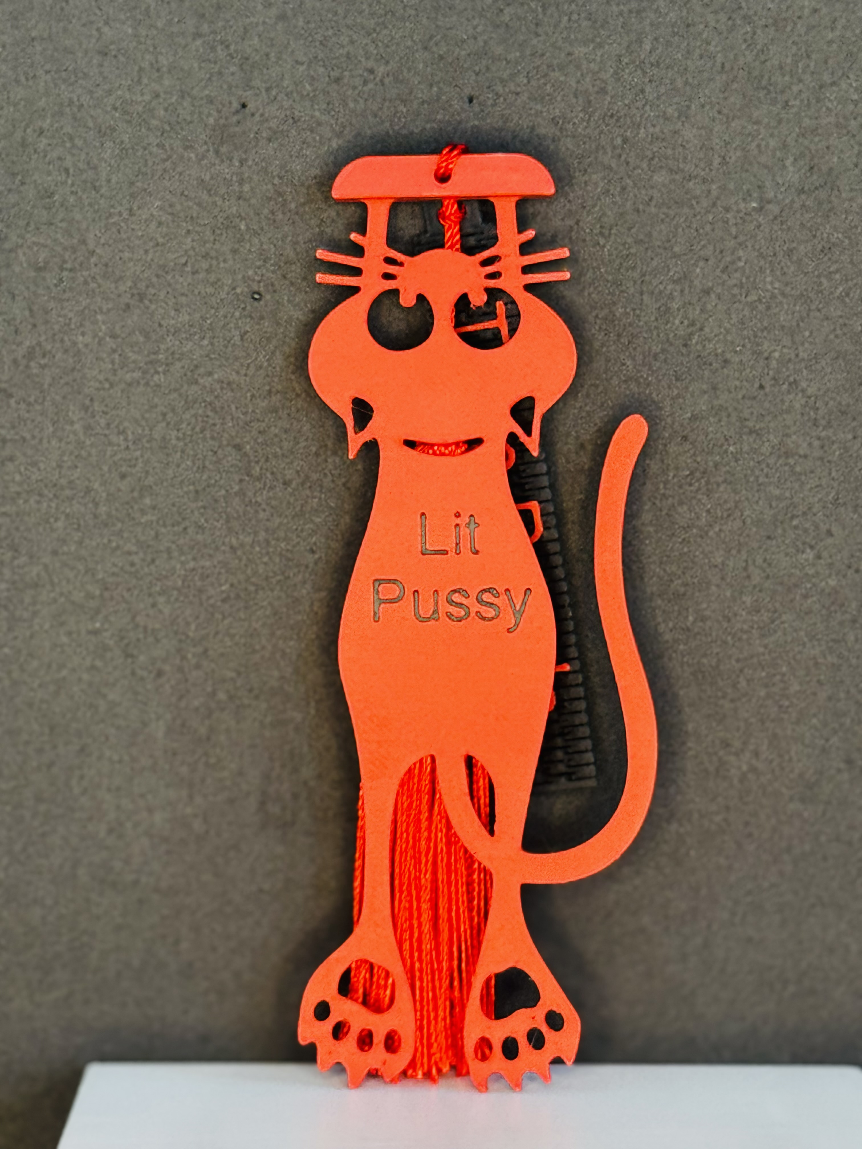 Lit Pussy bookmark