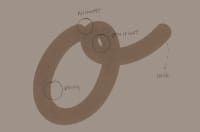 Typography detail breakdown