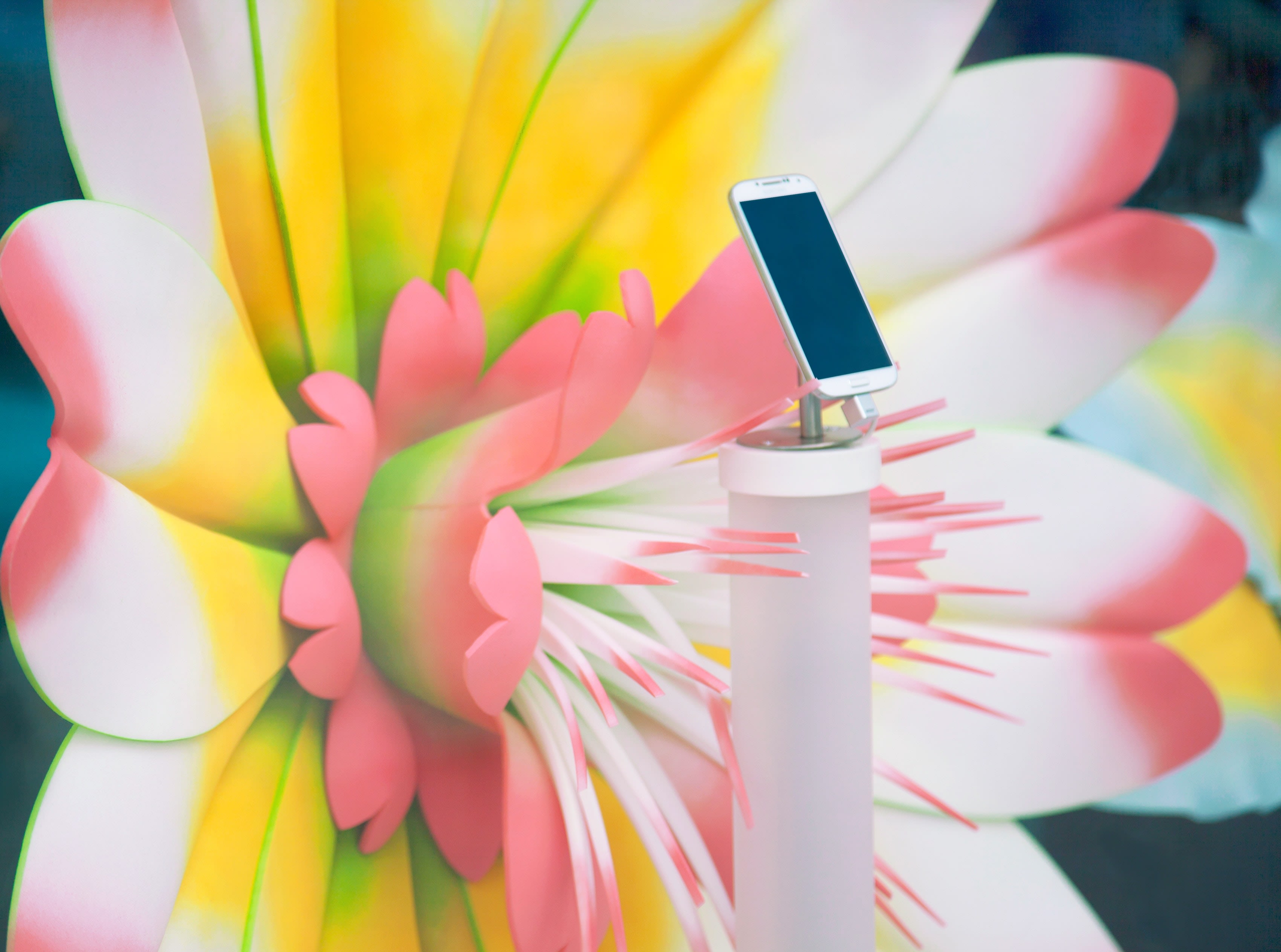 Phone sat on a podium with a flower behind it