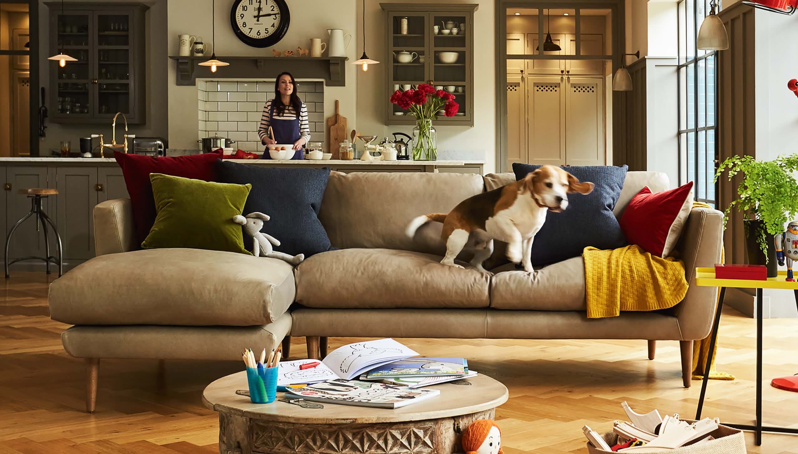 Dog sat on a sofa