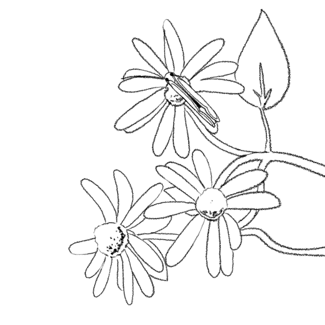 A looping animation of a butterfleye resting on a flower