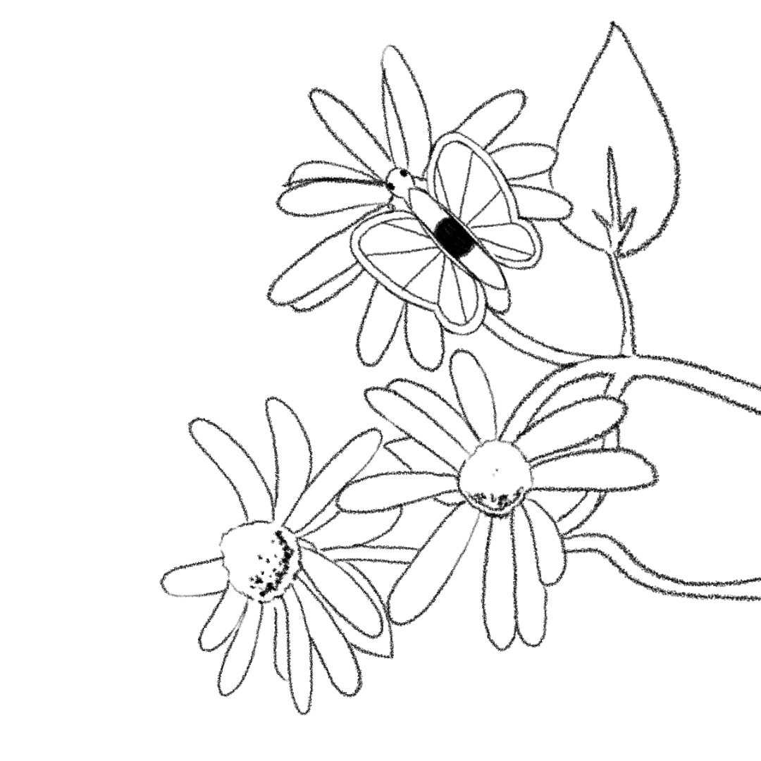 A looping animation of a butterfleye resting on a flower