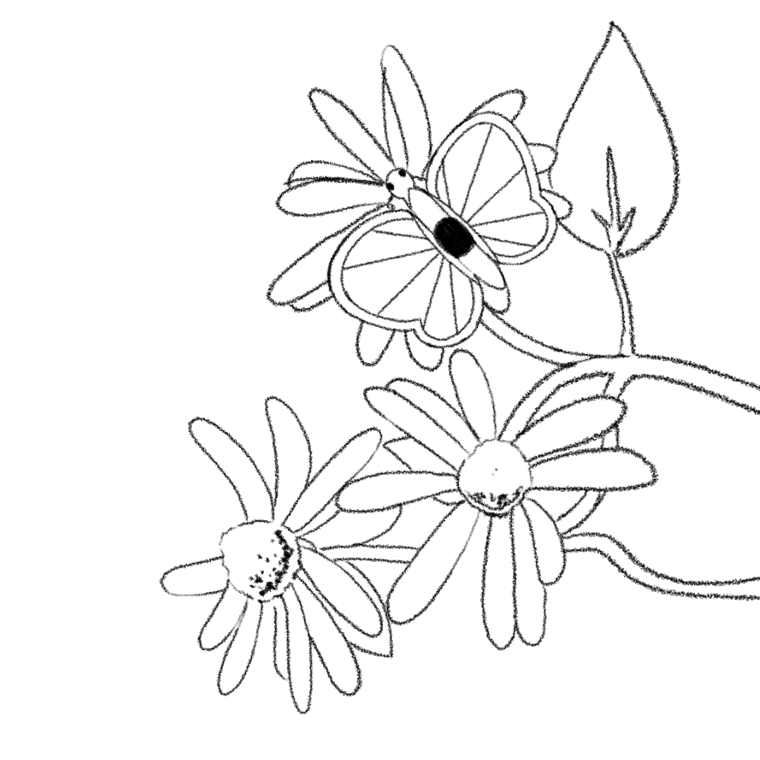 A looping animation of a butterfleye resting on a flower