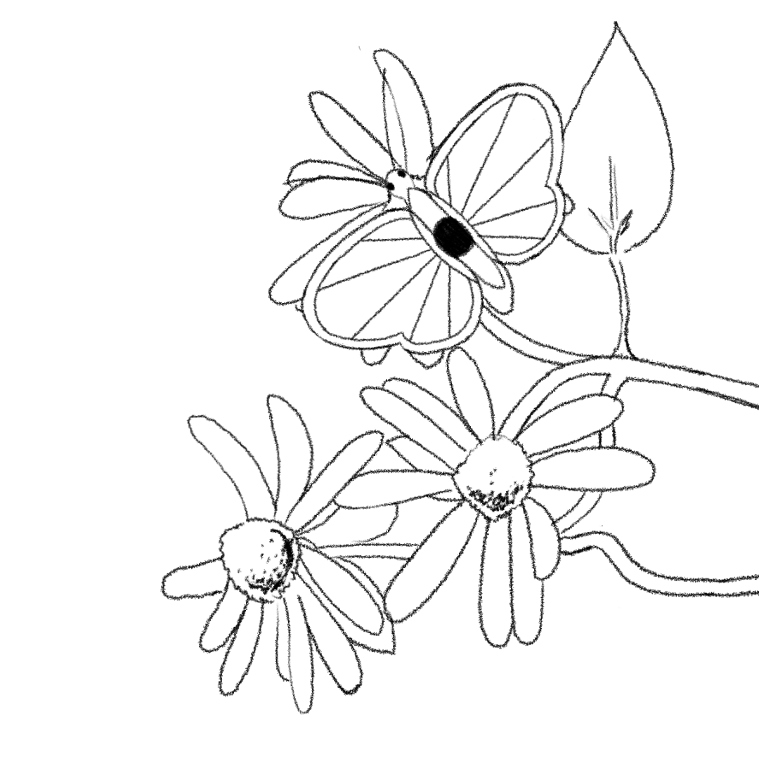 A looping animation of a butterfleye resting on a flower