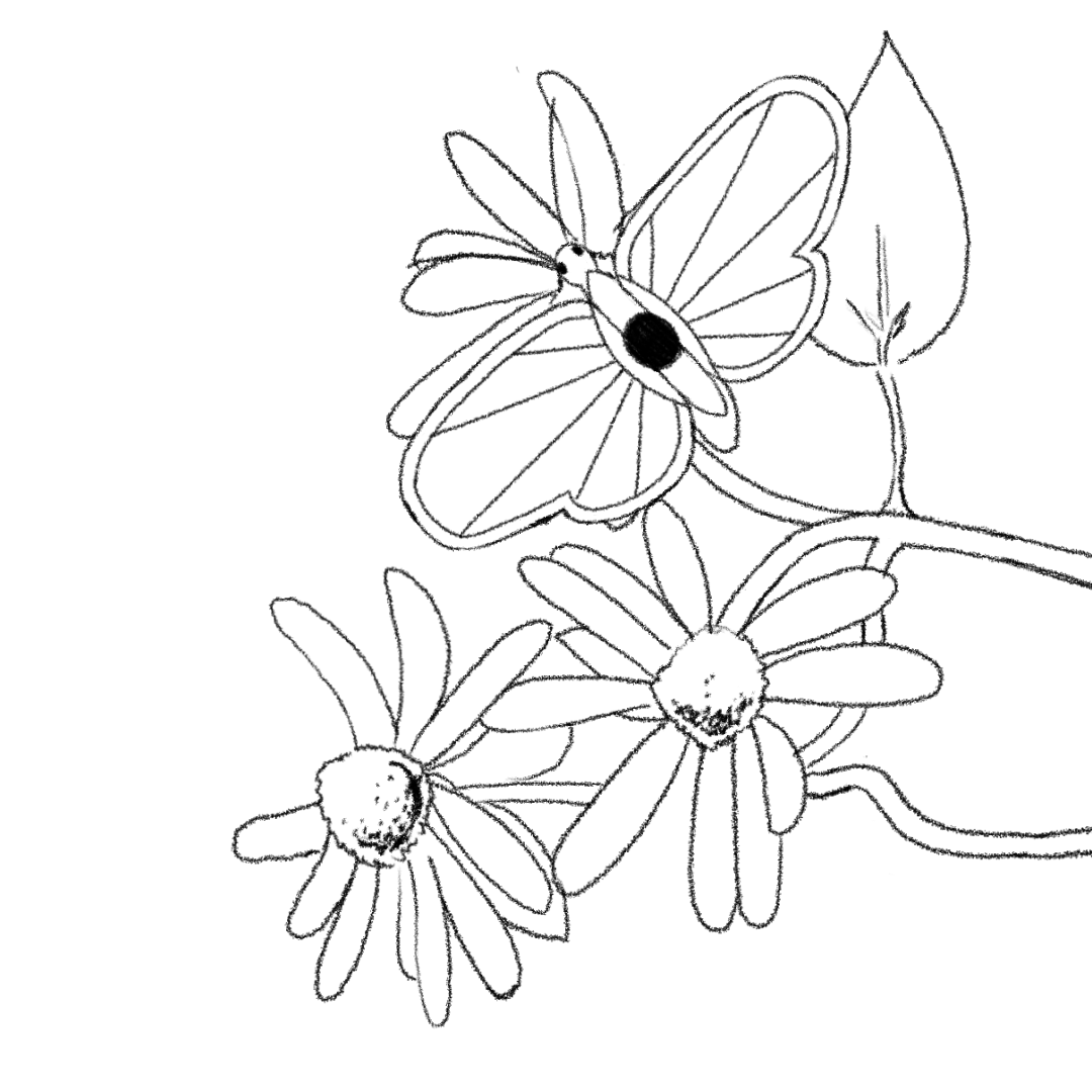A looping animation of a butterfleye resting on a flower