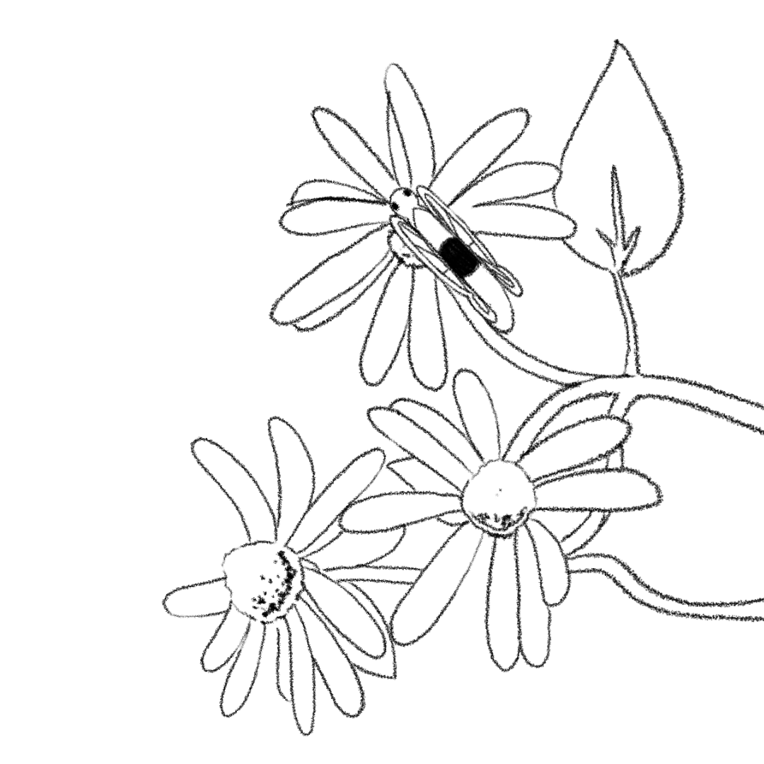 A looping animation of a butterfleye resting on a flower