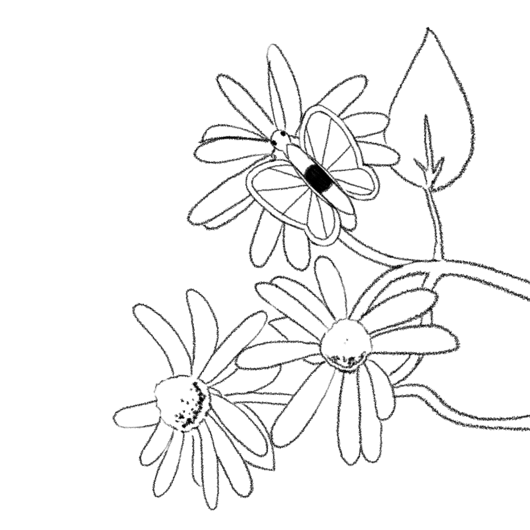 A looping animation of a butterfleye resting on a flower