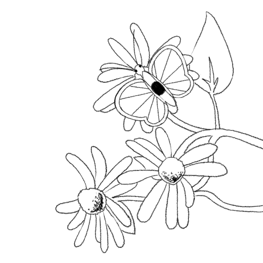 A looping animation of a butterfleye resting on a flower